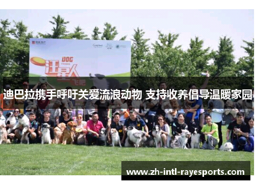 迪巴拉携手呼吁关爱流浪动物 支持收养倡导温暖家园