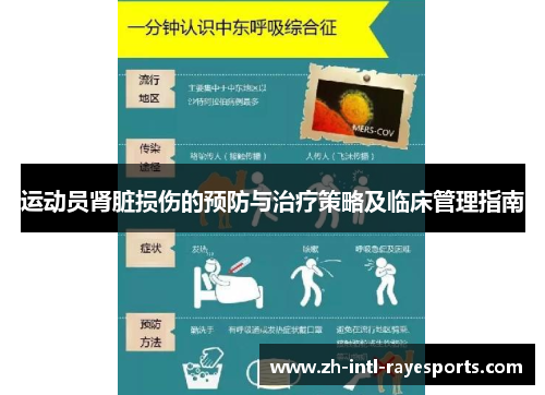 运动员肾脏损伤的预防与治疗策略及临床管理指南