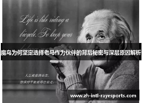 魔鸟为何坚定选择老马作为伙伴的背后秘密与深层原因解析 魔鸟为何坚定选择老马作为伙伴的背后秘密与深层原因解析